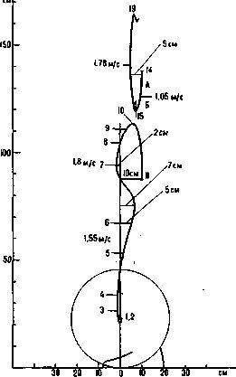 Bar trajectory in Marchuk's clean and jerk