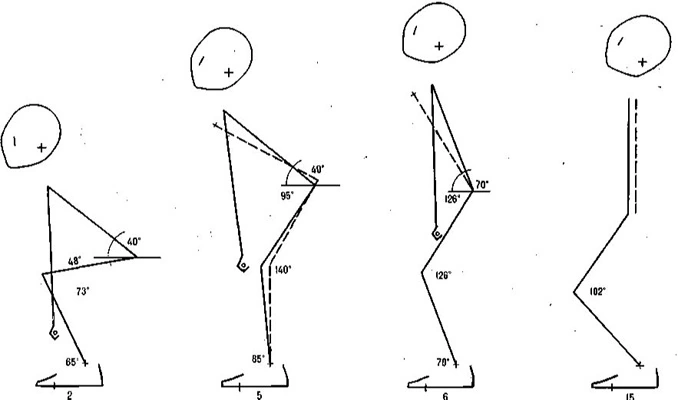 Stick figures of Marchuk's body segments at positions 2, 5, 6 and 15